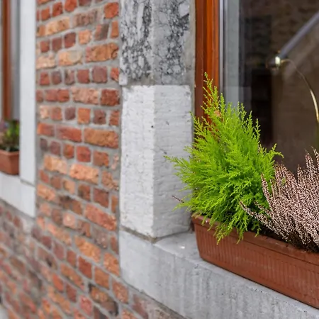 Zum Alten Kuhstall - Suedgarten & Terrasse - Grosses Mit Sauna Holiday home