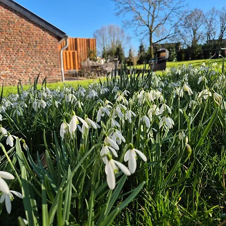 Zum Alten Kuhstall - Suedgarten & Terrasse - Grosses Mit Sauna * Lontzen