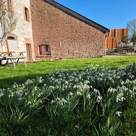 Zum Alten Kuhstall - Suedgarten & Terrasse - Grosses Mit Sauna Holiday home *