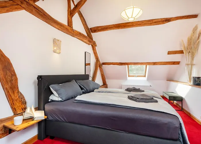 Zum Alten Kuhstall - Suedgarten & Terrasse - Grosses Mit Sauna *