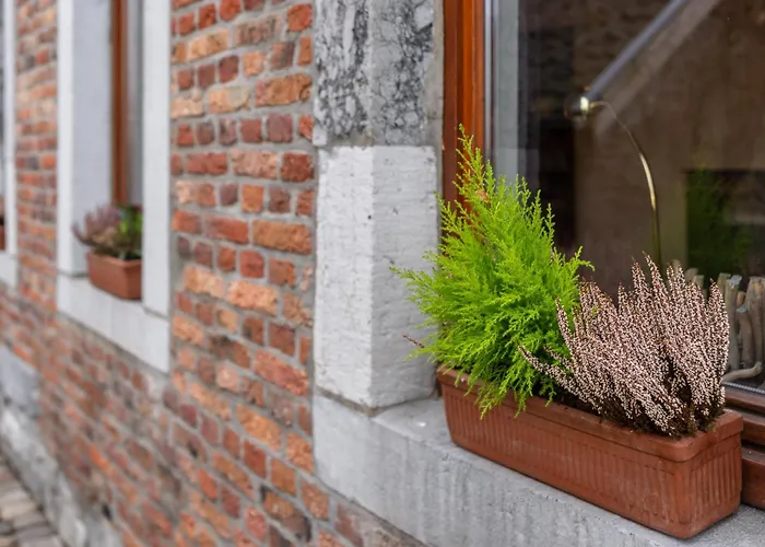 Zum Alten Kuhstall - Suedgarten & Terrasse - Grosses Mit Sauna Holiday home