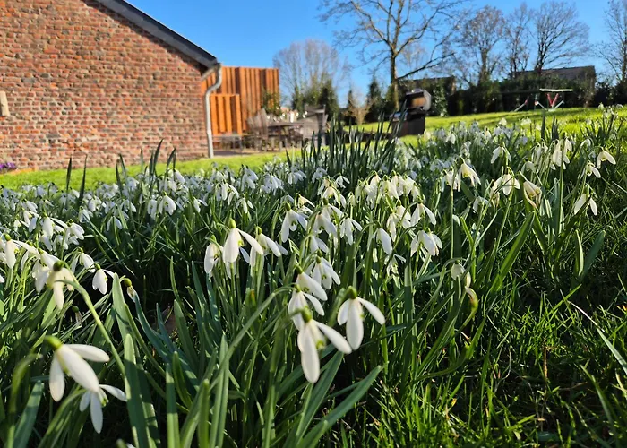 Zum Alten Kuhstall - Suedgarten & Terrasse - Grosses Mit Sauna * Lontzen